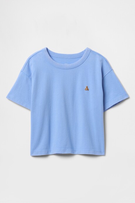Remera Washed Toddler Niño Shirting Blue