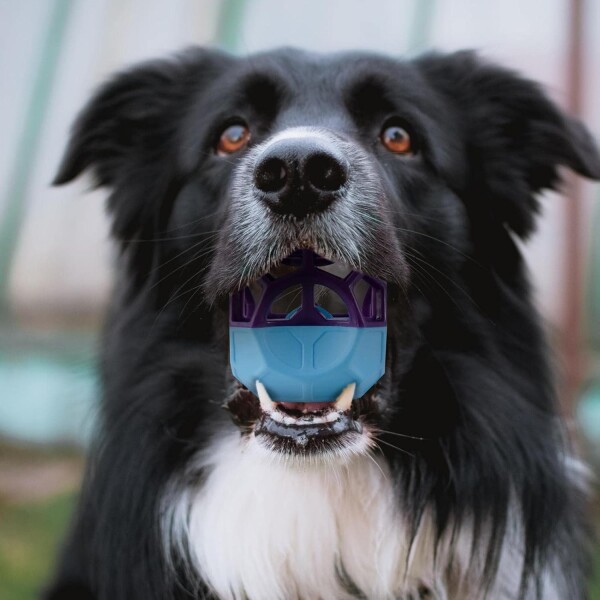 Juguete Pelota Rellenable Perro Con Sonido Resistente Morder Variante Color Naranja