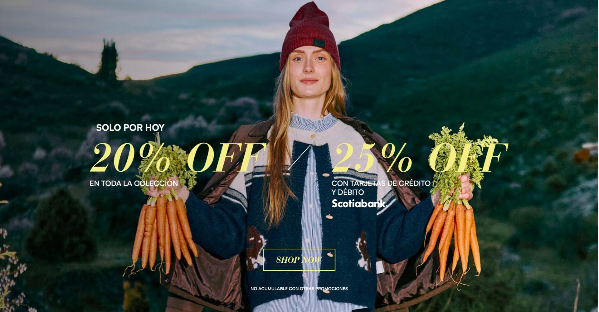 20% off