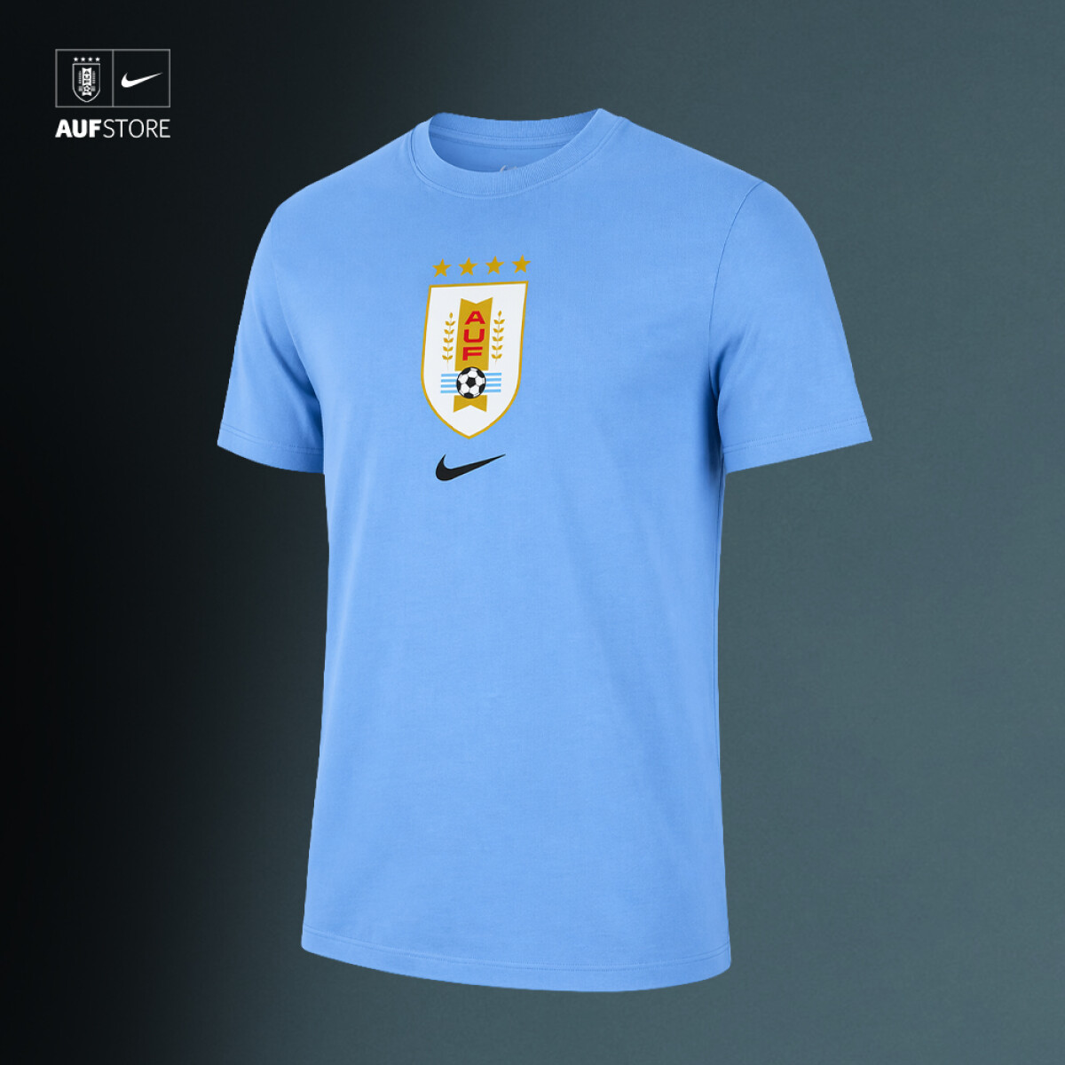 Remera Nike Celeste 2025 - Hombre 