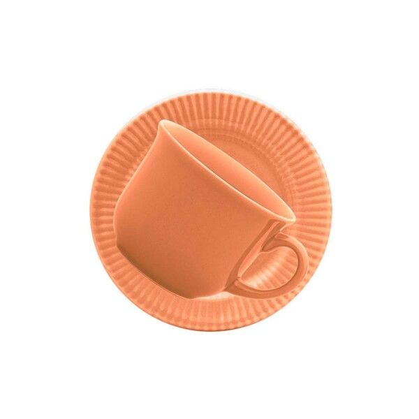 Taza de te con plato Salmao 200 ml BIONA Taza de te con plato Salmao 200 ml BIONA