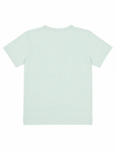 REMERA FELIPE TEEN III VERDE GRISACEO