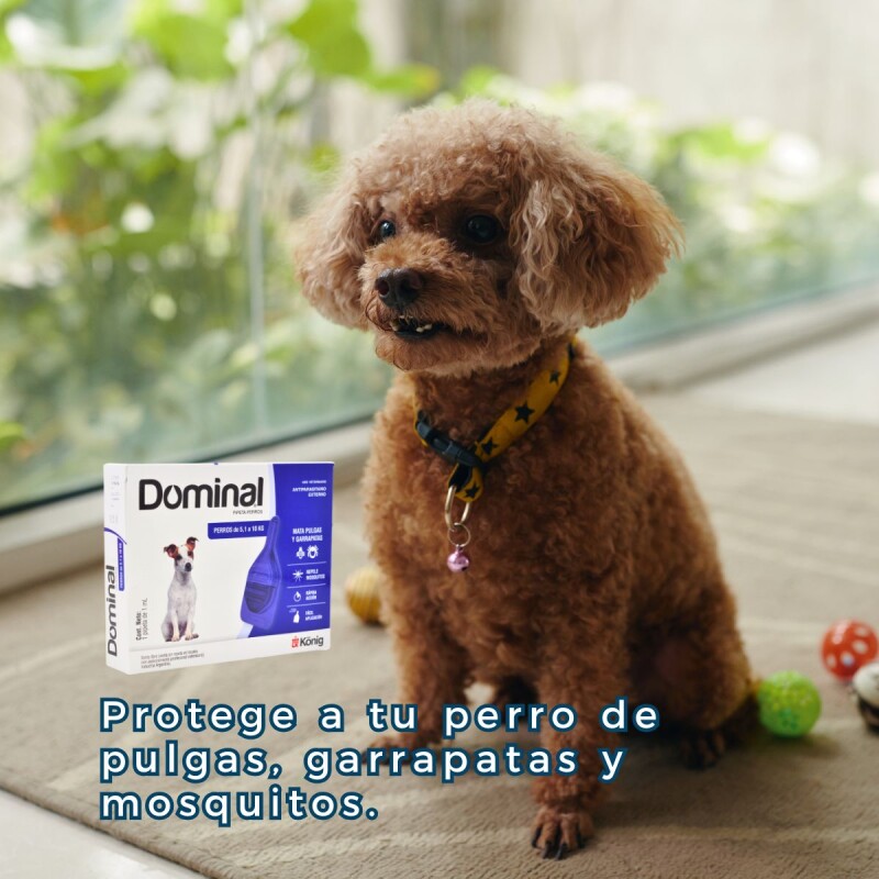 PIPETA ANTIPULGAS Y GARRAPATAS PARA PERROS DOMINAL KONIG DE 5 A 10 KG
