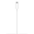 Cargador Apple MagSafe (1m)
