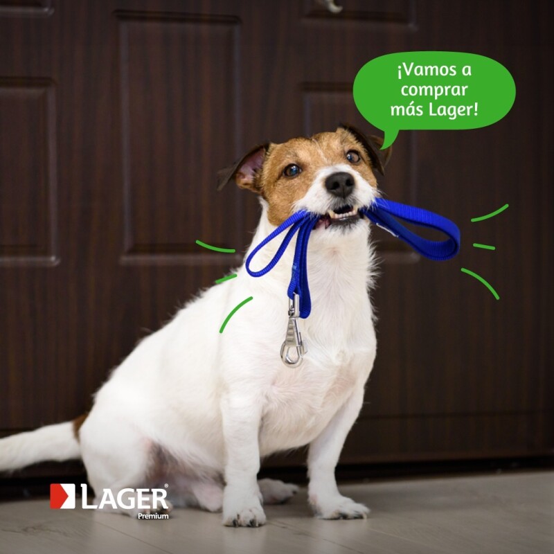LAGER PERROS CACHORROS 10 KG