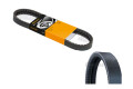 Correa De Accesorios Correa De Accesorios