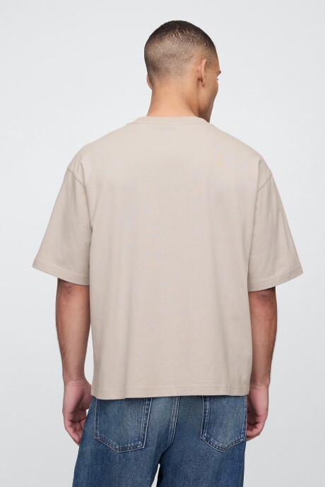 Remera Vintage Soft Hombre Frosty Morning