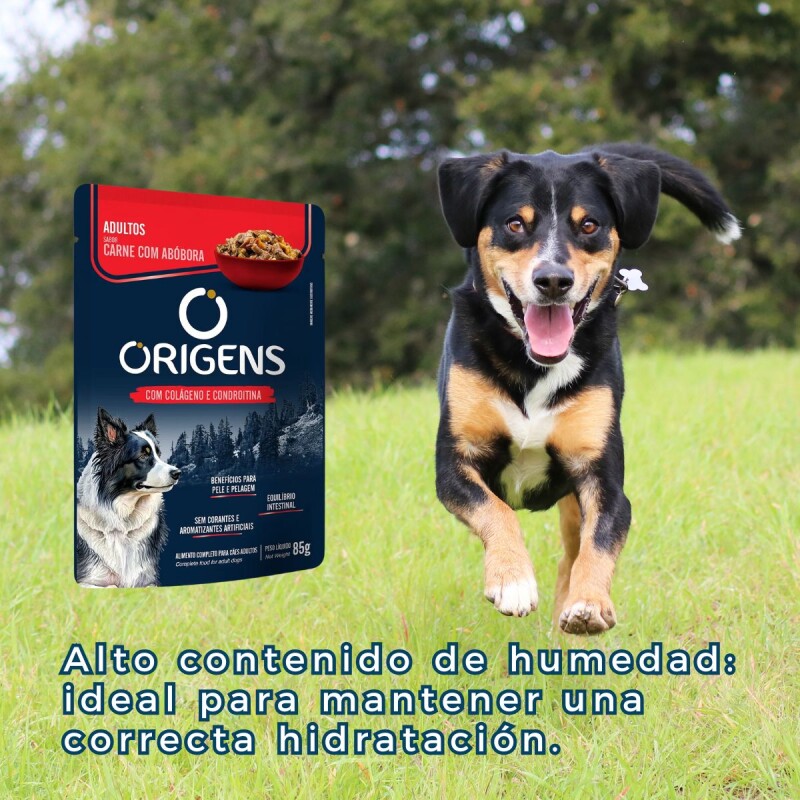 SALSA ORIGENS PERRO ADULTO 85 GR CARNE CON CALABAZA