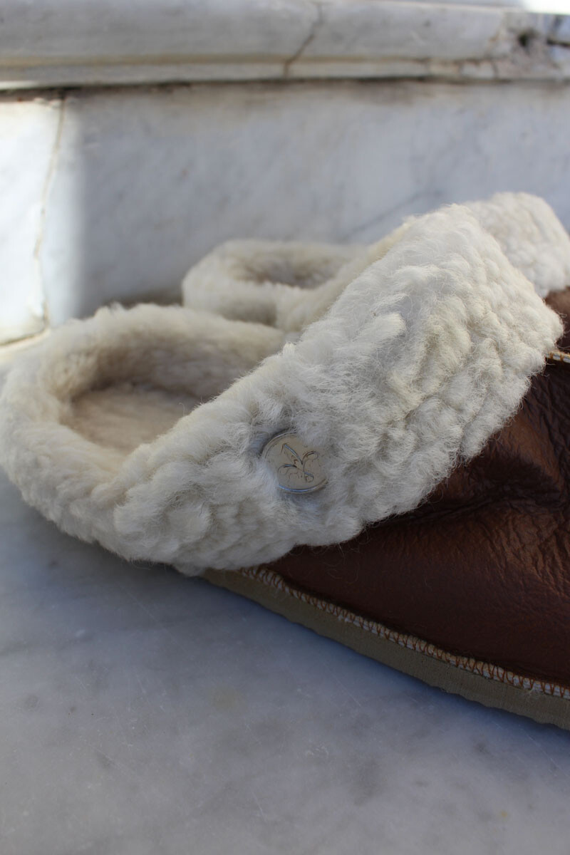 Pantufla borrego Habano