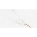 PORCELANATO BRANCO PARANA ESMALTADO POLIDO "A" 49X99 CM Porcelanato Branco Parana Esmaltado Polido "a" 49x99 Cm