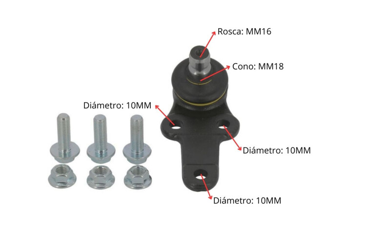 Rotula Ford Focus 98-05 Der/Izq Rotula Ford Focus 98-05 Der/Izq