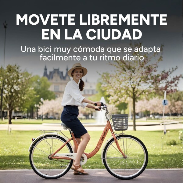 Bicicleta BDF Paseo Urbana Rodado 26 " Canasto Freno V-Brake Rosa 1