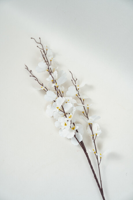 Flor Orquídea De Baile, Ramo Color Unico