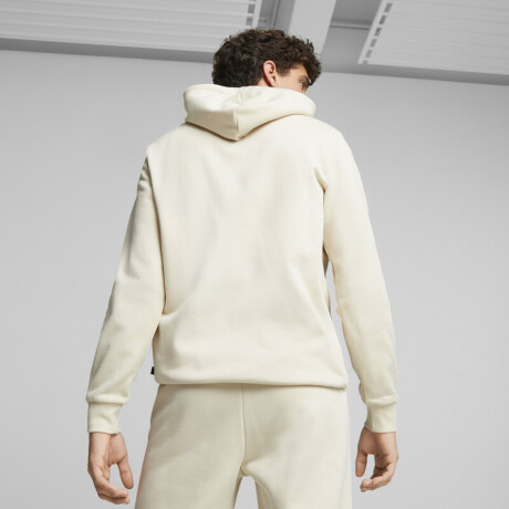 ESS+ 2 Col Big Logo Hoodie FL 58676487 Arena