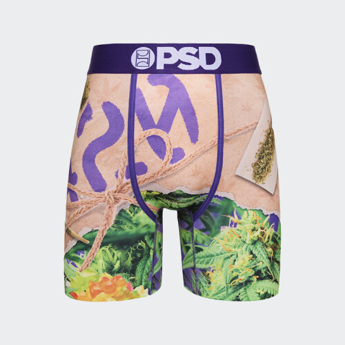 Calzoncillos PSD 420 Stash Multicolor