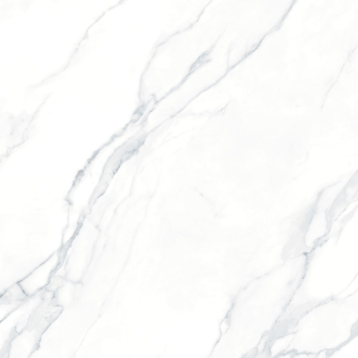 Ceramica 60X60 Calacata Bianco Brillo Rectificado 