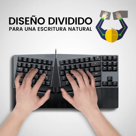 Teclado Ergonómico Usb Perixx 335 Multimedia Español 001