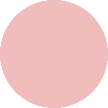 10307 Receta Rosa