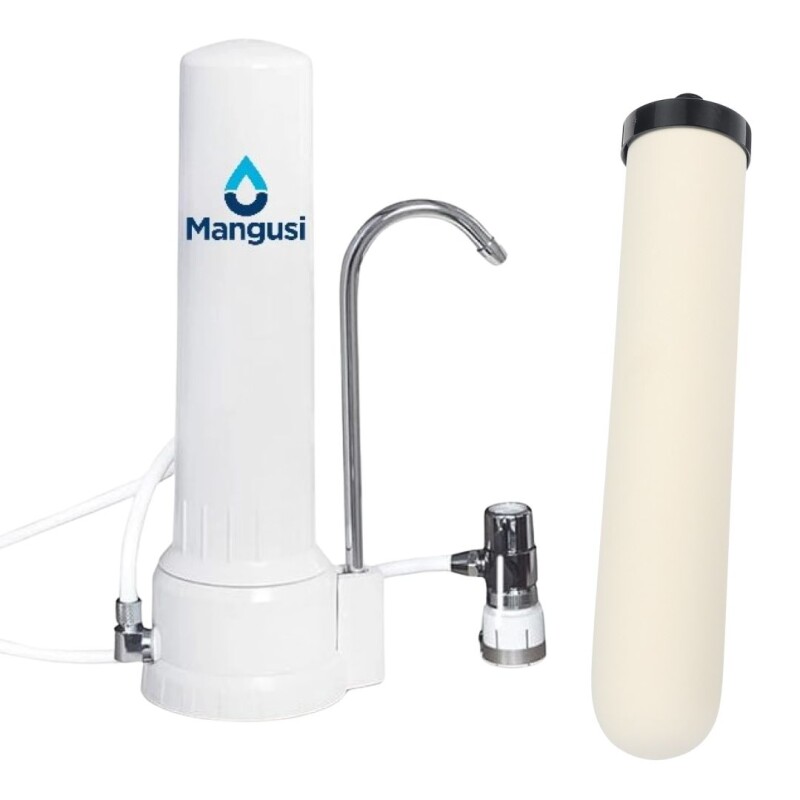 Repuesto filtro cerámico C/carbón PACK X 2 Repuesto filtro cerámico C/carbón PACK X 2