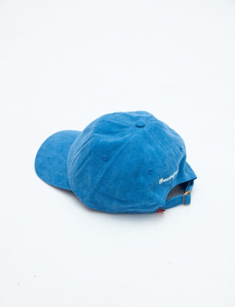 Gorra Hollis Denim