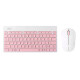 Set teclado y mouse inalámbrico rosa