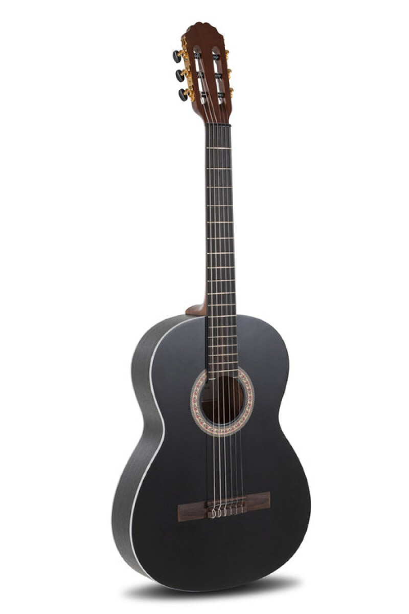 Guitarra Caballero by MR Principio Serie P CA-PM BE 
