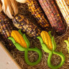 Sonajero Corn Rattle Toy Oli & Carol Sonajero Corn Rattle Toy Oli & Carol