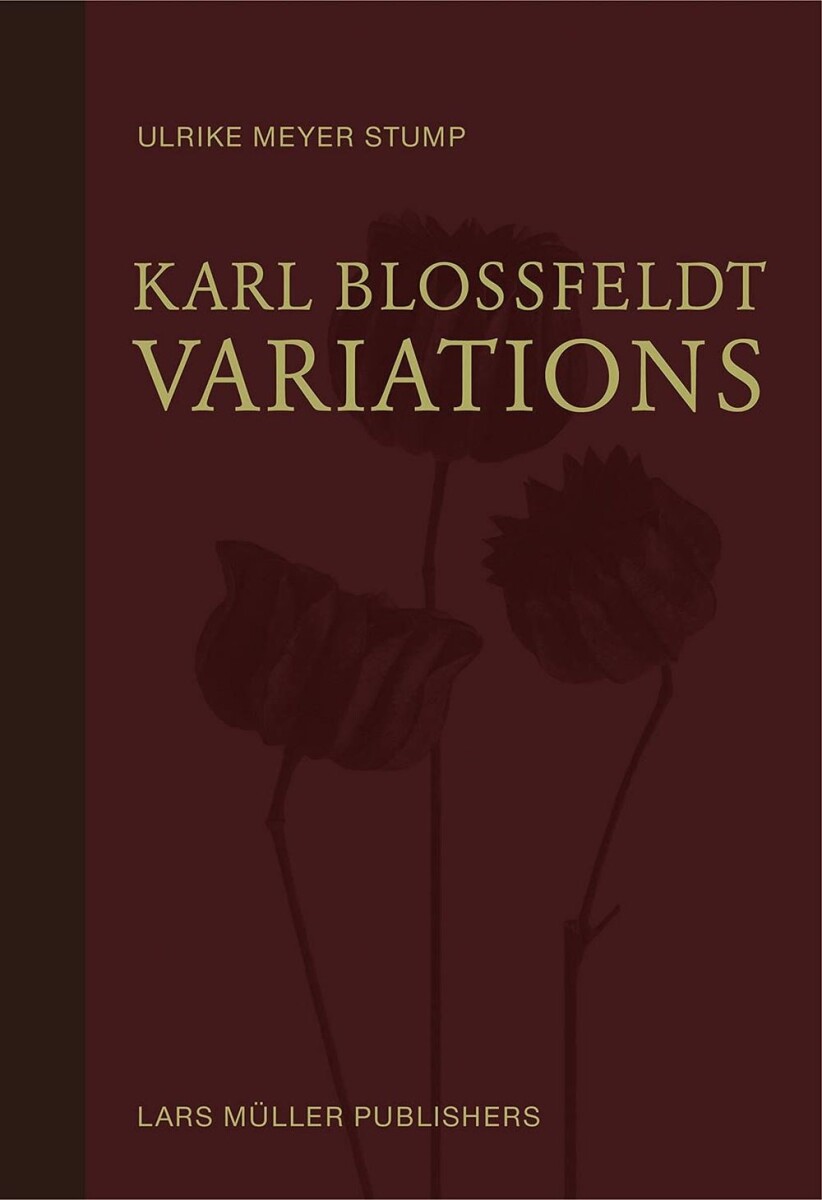 Karl Blossfeldt Variations 