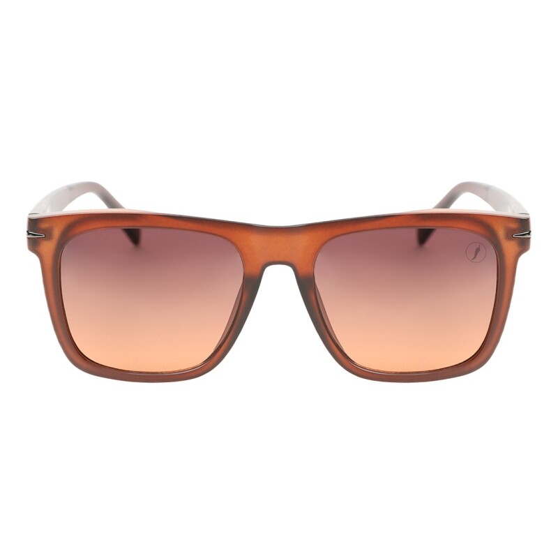 Lentes de Sol Chilli Beans Hamburgo Marrón Claro