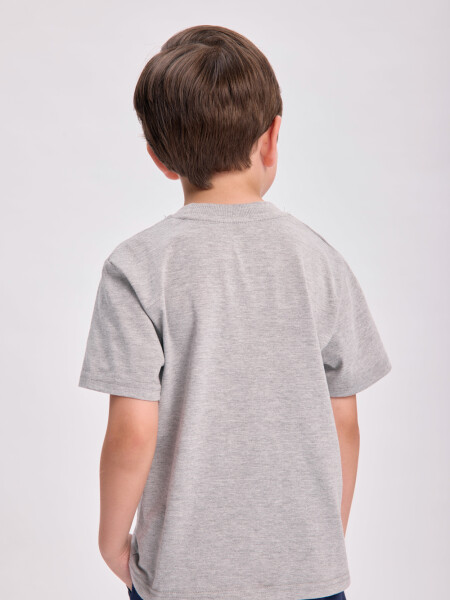 Remera básica Gris
