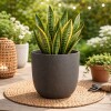 MACETA JAR Gris - Large