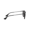 Ray Ban Rb4171 Erika 622/8g
