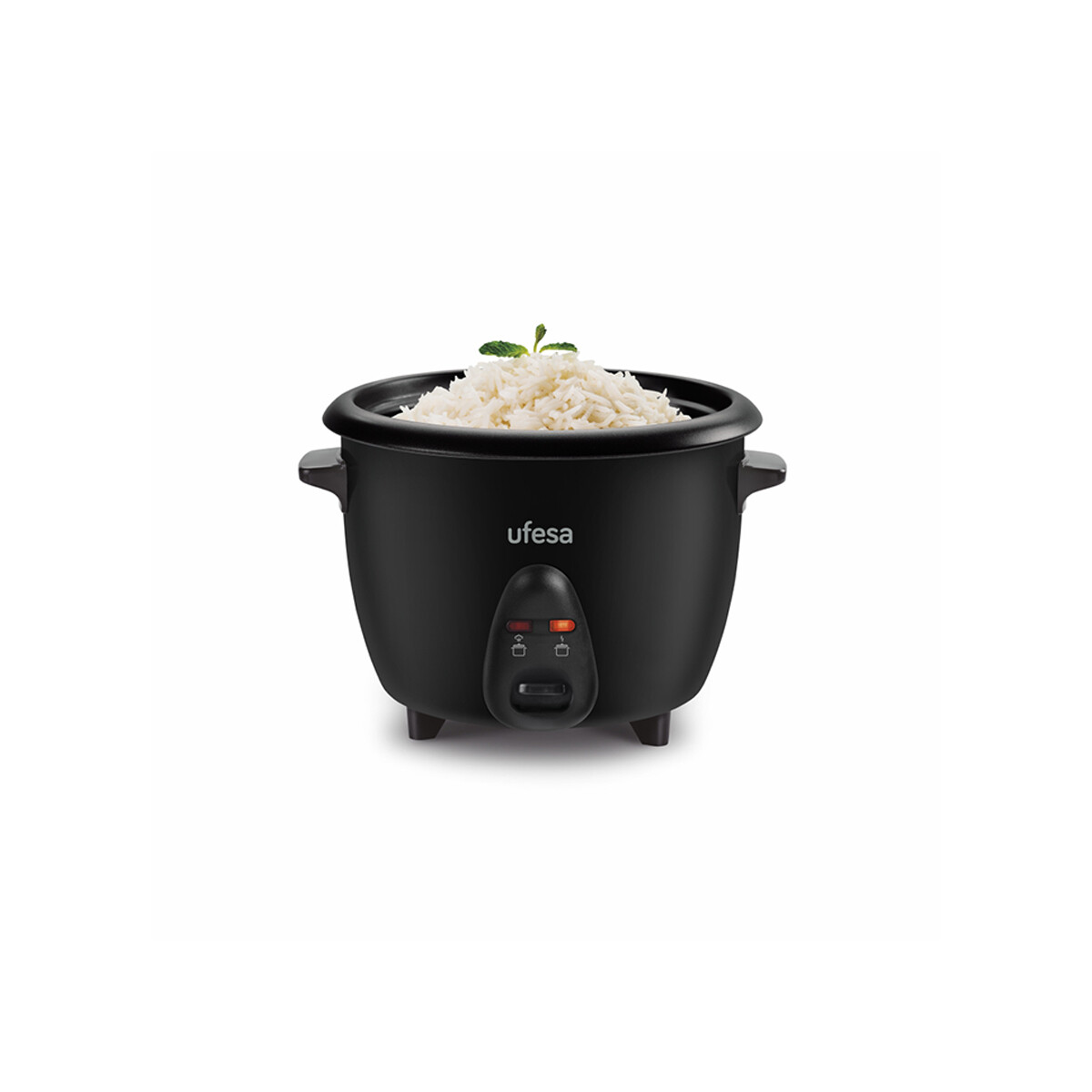 Arrocera Ufesa AR4080 