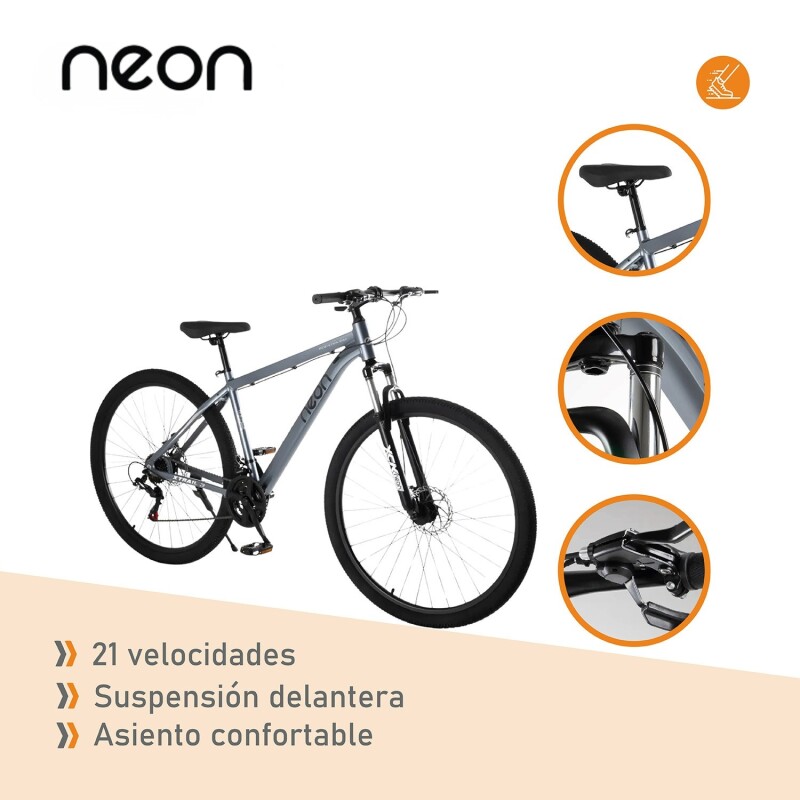 Bicicleta Montaña Bike Ruta R29 Freno Disco Acero Gris