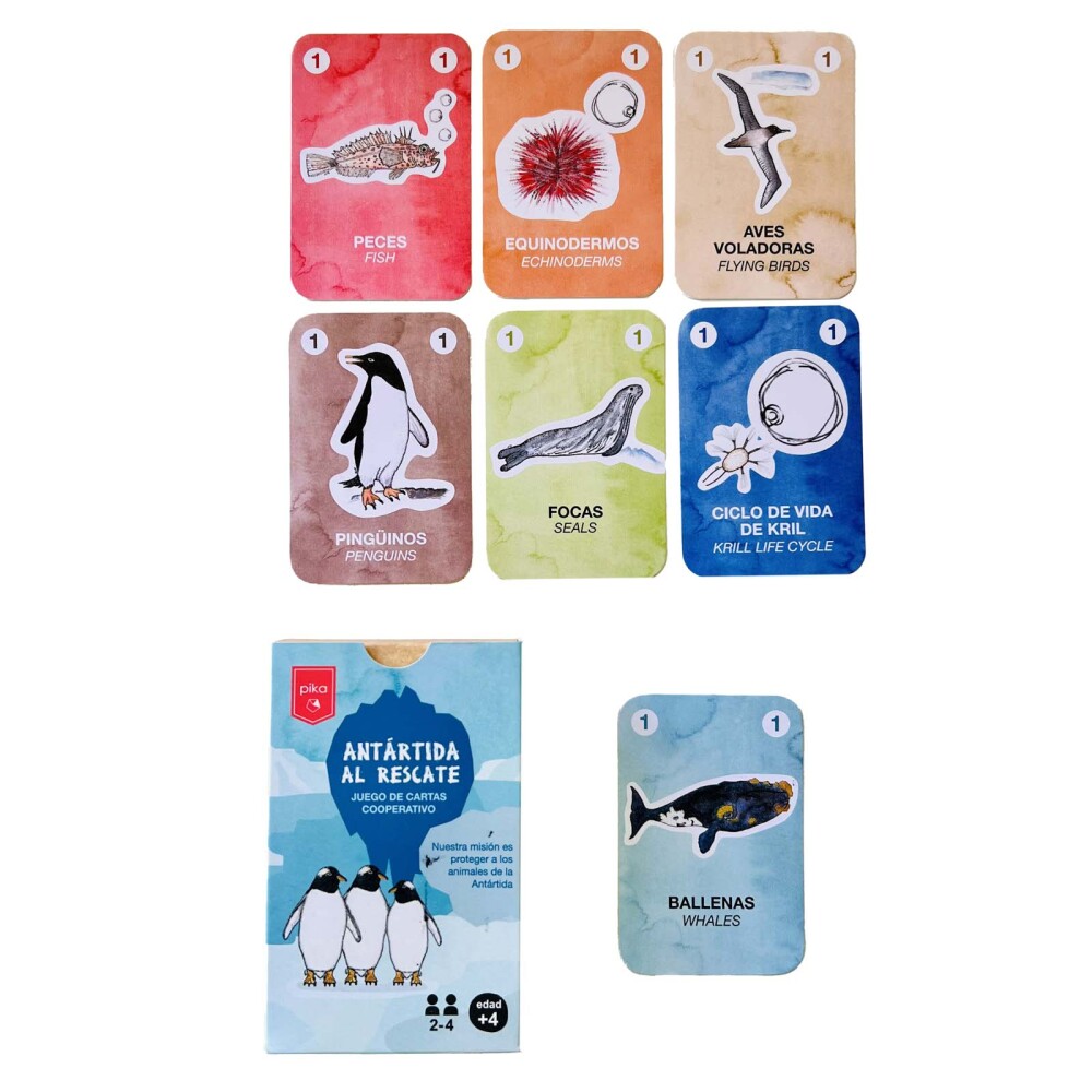 CARTAS CARTON ANTÁRTIDA AL RESCATE