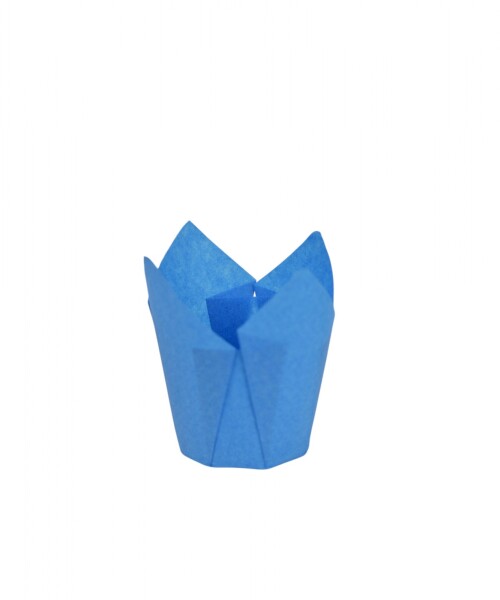 Tulipa 15x5 cm CELESTE