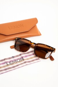 Lentes De Sol Polarizados Marron
