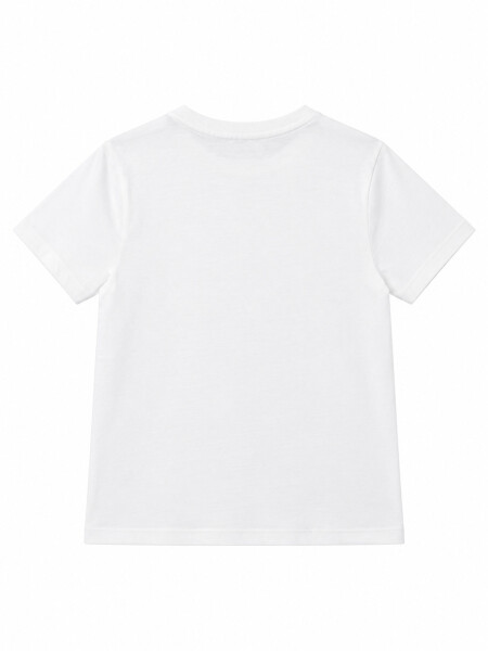 REMERA DENA VARIANTE 1.