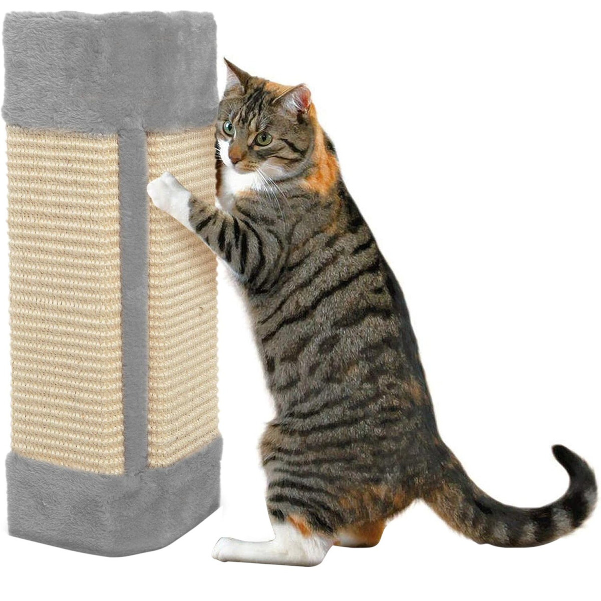 Rascador Gato Sillon Amurar Pared Tornillos Pom Pom Grande - Variante Color Gris 