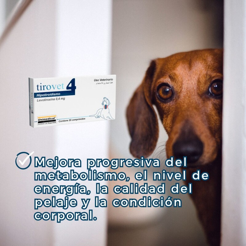 TIROVET 4 LEVOTIROXINA 0.4 MGS CAJA 20 COMPRIMIDOS TIROVET 4 LEVOTIROXINA 0.4 MGS CAJA 20 COMPRIMIDOS