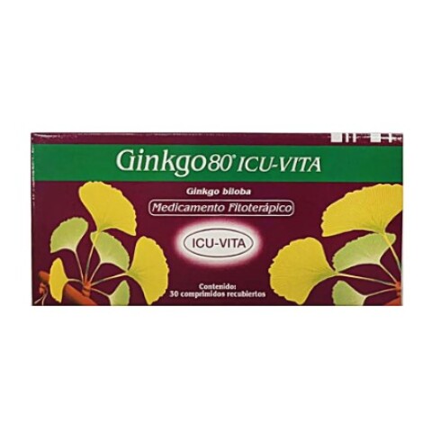 Ginkgo80 x30 comprimidos Ginkgo80 x30 comprimidos