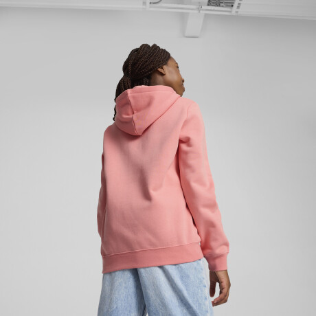 ESS Nş1 Logo Hoodie FL G 68489618 Salmón