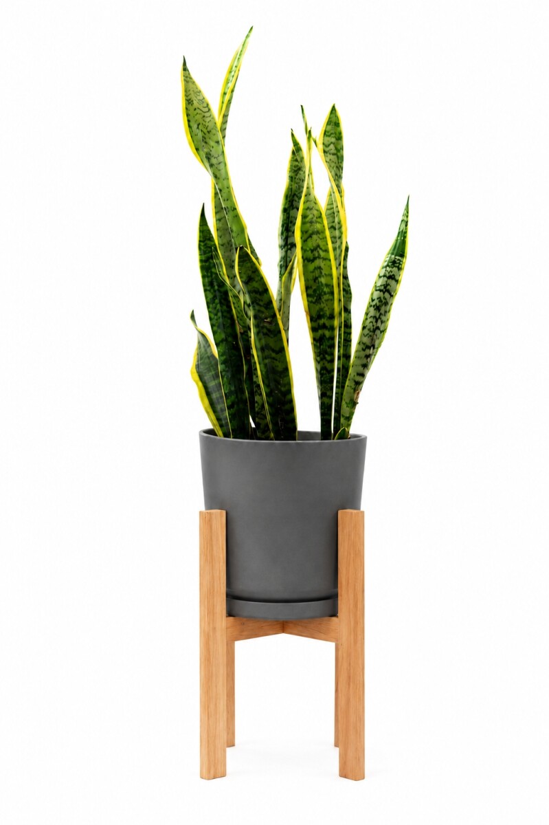 MACETA CERAMICA GRANDE CON SOPORTE BAJA - GRIS OSCURO 