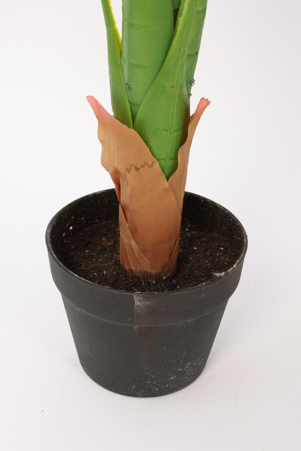 Planta Planta(con Maceta) Color Unico