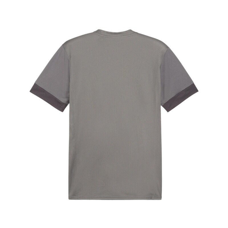 Camiseta Puma Teamgoal Matchday 13