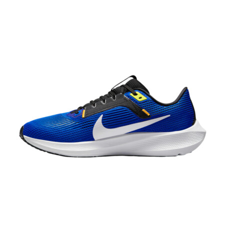 Championes Nike Pegasus 40 Blue