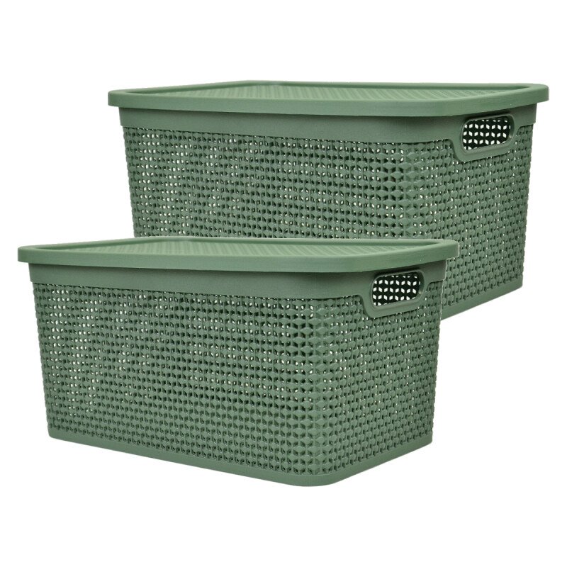 Set x2 Caja simil ratán 15 lts 39x26x19 cm VERDE