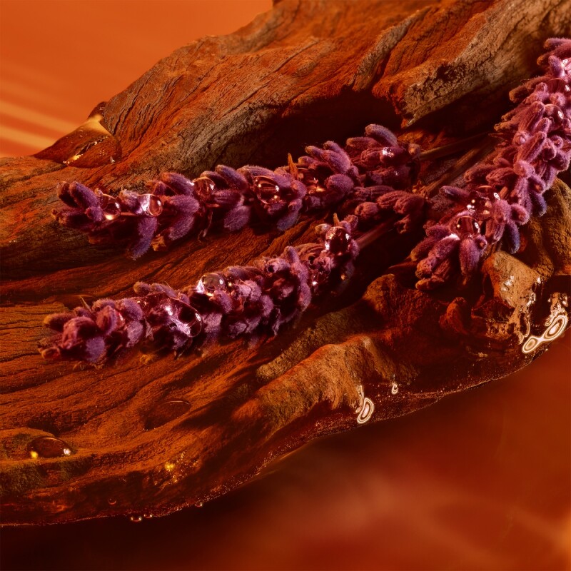 Perfume Emporio Armani Stronger With You Intensely Edp 50 Ml. Perfume Emporio Armani Stronger With You Intensely Edp 50 Ml.