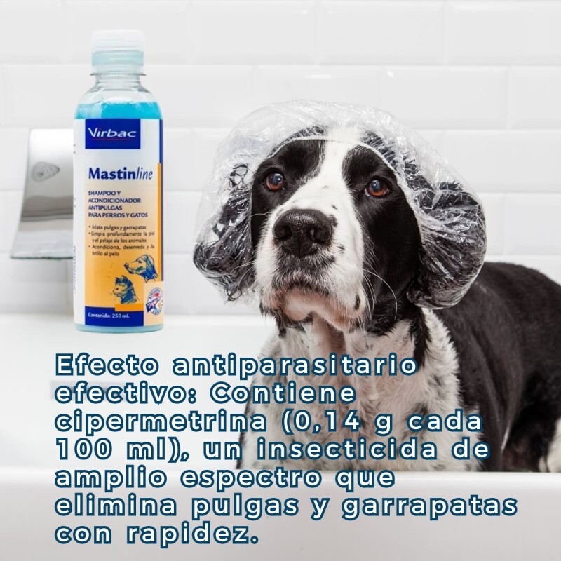 SHAMPOO Y ACONDICIONADOR MASTIN LINE ANTIPULGAS Y GARRAPATAS SHAMPOO Y ACONDICIONADOR MASTIN LINE ANTIPULGAS Y GARRAPATAS