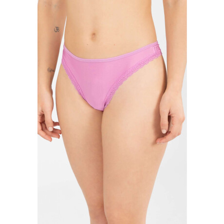 Colaless etna Fuchsia